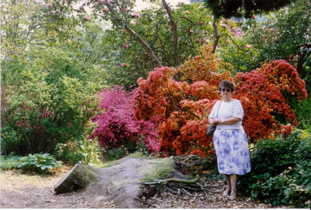 Scan0280.JPG